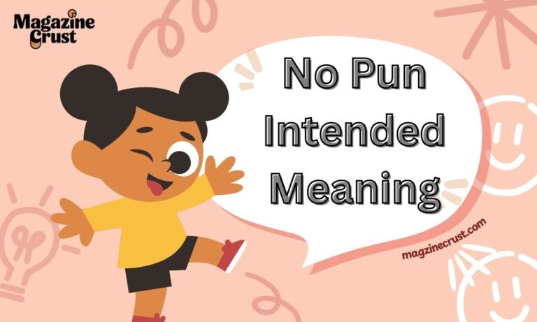 No Pun Intended Meaning